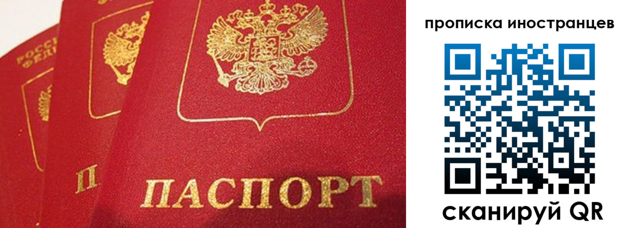 прописка поиск в Гусь-Хрустальном